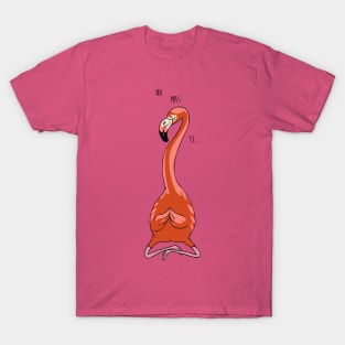 NAMASTE Flamingo T-Shirt